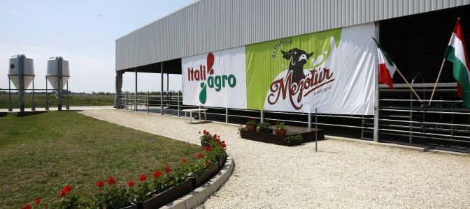 Tejtermelő bivalytelepet adtak át Mezőtúron Tejtermelő bivalytelepet adtak át Mezőtúron