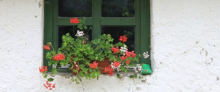 Az Agrárminisztérium idén is meghirdeti Az Év Tanyája díjat