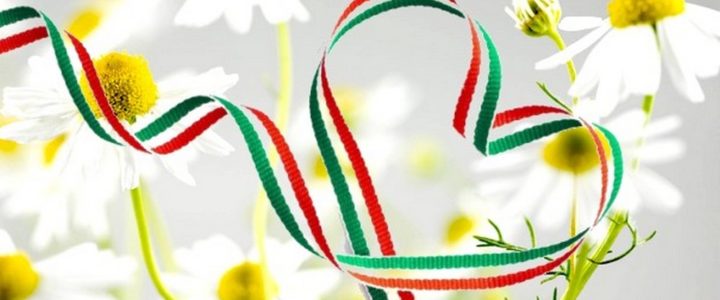 „Hungarikumok varázsa” ünnepi hungarikum fotópályázat „Hungarikumok varázsa” ünnepi hungarikum fotópályázat