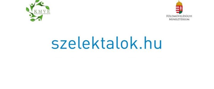Fenntartható Környezettudatos szemléletformálás az Alföld közepén