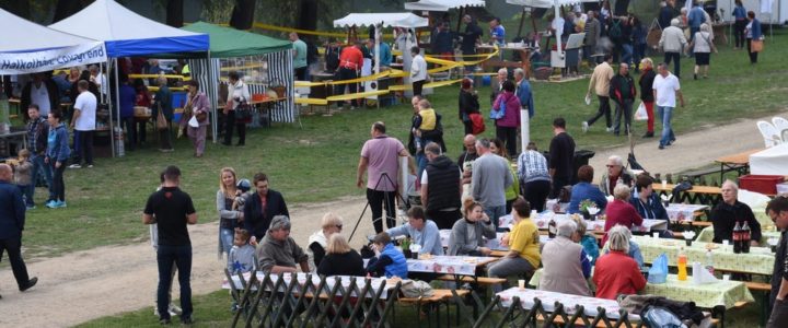 2018. 09. 28. – VI. Tiszai Hal Napja
