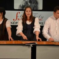 Mezőtúri Citerazenekar