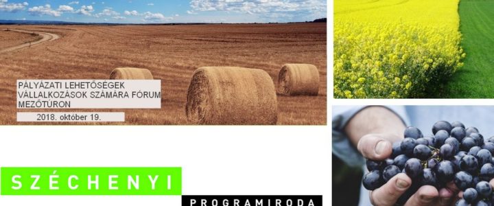 PÁLYÁZATI LEHETŐSÉGEK VÁLLALKOZÁSOK SZÁMÁRA FÓRUM MEZŐTÚRON