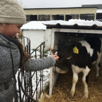 kalandozasok-a-koros-menti-kamrakban-01