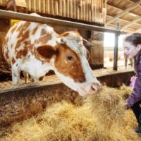 kalandozasok-a-koros-menti-kamrakban-02